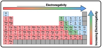 Periodic table showing electronegativity trends