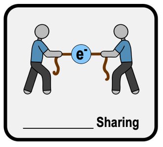Equal sharing of electrons in nonpolar covalent bonds