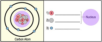 Diagram of a carbon atom with labeled subatomic particles