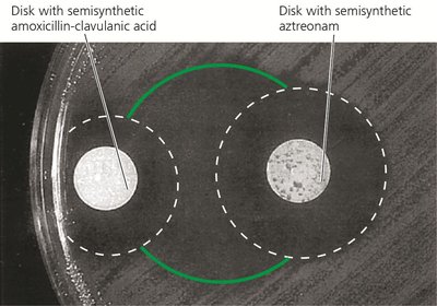 Synergism between two antimicrobial agents