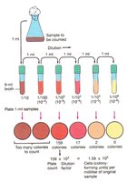 Serial dilution plate method