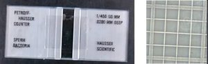 Petroff-Hauser chamber for cell counting