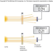 Spectrophotometer measuring absorbance