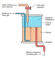 Chemostat diagram for continuous culture