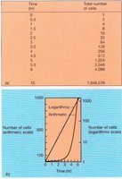 Exponential growth curve and arithmetic vs logarithmic scale