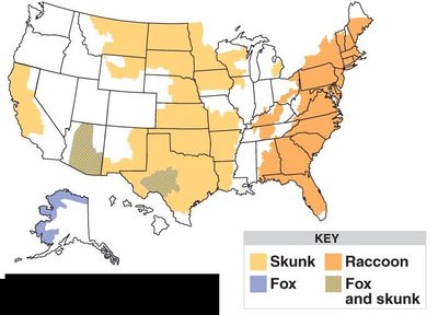 Map of reported cases of rabies in animals in the United States