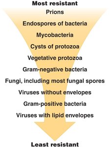 Arrow diagram showing resistance of microbial agents