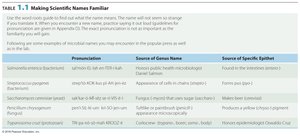 Table of scientific names and their meanings
