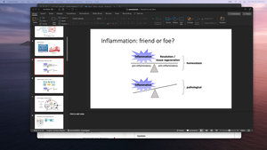 Inflammation balance diagram