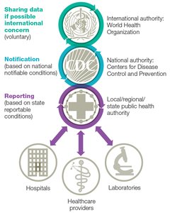 Disease Reporting Flowchart