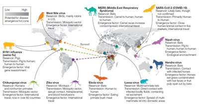 Emerging Disease Hot Zones