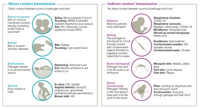 Direct and Indirect Contact Transmission