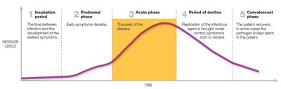 Stages of Infectious Disease