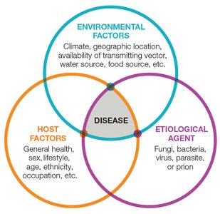 Epidemiological Triangle