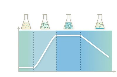 Bacterial growth curve