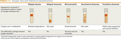 Oxygen gradient in thioglycolate medium