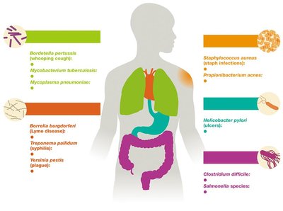 Pathogen oxygen tolerance in human body