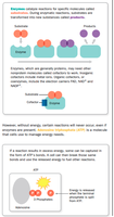 Enzyme catalysis and ATP structure