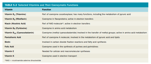 Table of vitamins and coenzyme functions