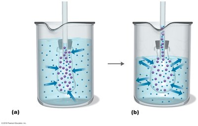 Experimental demonstration of osmosis