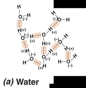 Hydrogen bonding in water and organic compounds