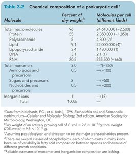 Chemical composition of a prokaryotic cell