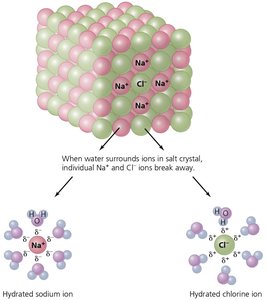 Dissociation of NaCl in water and hydration shells