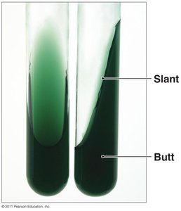 Slant tube containing solid media