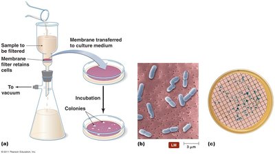 Membrane filtration