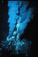 Hydrothermal vent
