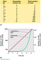 Generation time and exponential growth table and plot