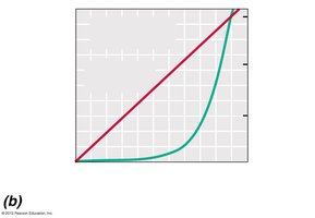 Logarithmic and arithmetic plot of microbial growth
