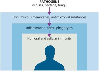 Big Picture: Immunity