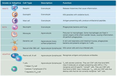 Big Picture: Immunity