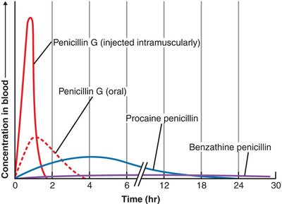 Route of administration affects effectiveness of Penicillin G