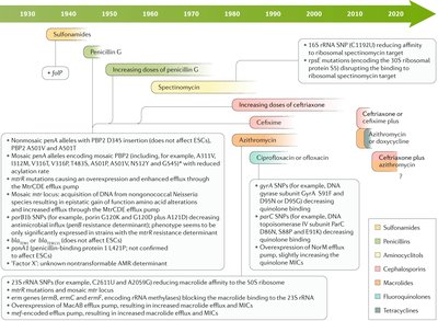 Timeline of antibiotic resistance in Neisseria gonorrhoeae