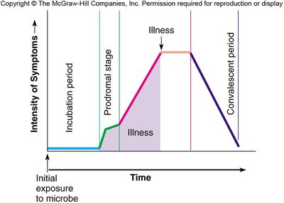 Graph showing the course of infectious disease