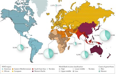 Global incidence map of Neisseria gonorrhoeae