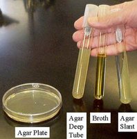 Agar Plate, Agar Deep Tube, Broth, Agar Slant