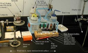 Microbiology lab equipment