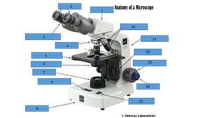 Anatomy of a microscope