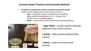 Common Aseptic Transfers and Inoculation Methods