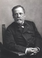 Portrait of Louis Pasteur