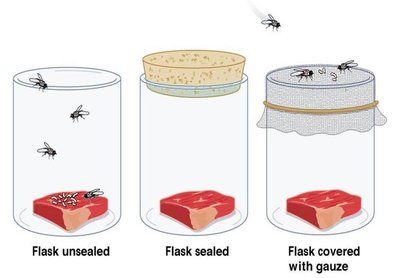 Redi's experiment with jars