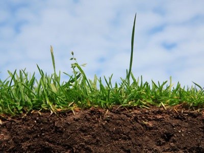 Soil with grass