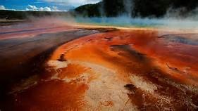 Hot spring at Yellowstone