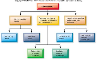 Epidemiology flowchart