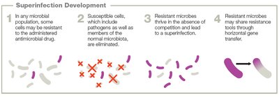 Development of superinfections