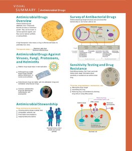 Visual summary of antimicrobial drugs