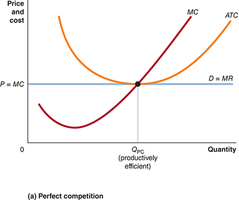 Perfect competition: productive and allocative efficiency